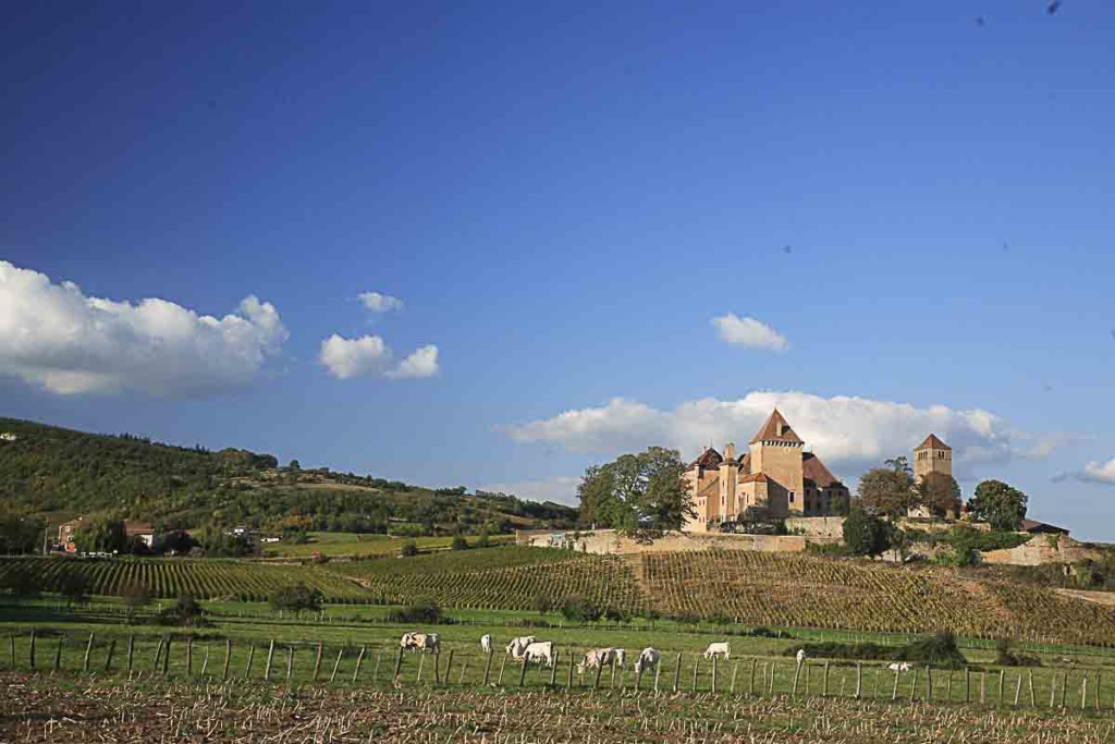 Camping en Bourgogne à Chalon sur Saône