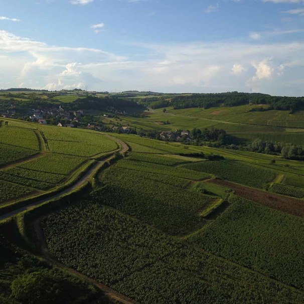 Camping à Montagny en Côte Chalonnaise