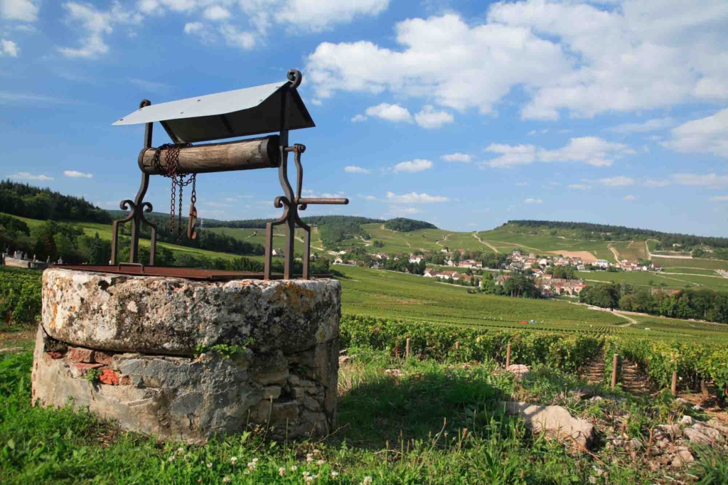 Camping dans la Côte Chalonnaise